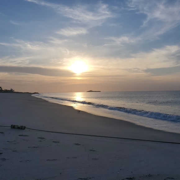 Meet your Posher, Carla - Picture 1 of 1